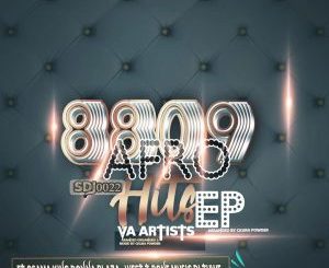 VA – 8809 Afro Hits