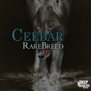Ceebar – The Marine (AfroTech Mix)