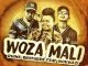 Dvine Brothers Ft. Nokwazi – Woza Mali