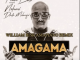 Prince Bulo – Amagama (William Risk Amapiano Remix) Ft. Nokwazi Dlamini, Dladla Mshunqisi
