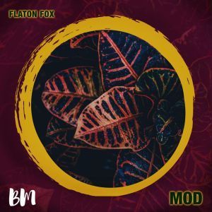 DJ Flaton Fox – MOD