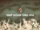 Deep House Chill, Vol. 05
