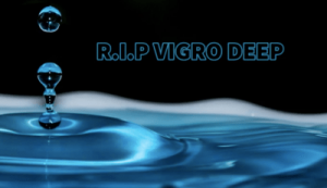 Dj Snowboy – R.I.P Vigro Deep