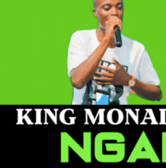 King Monada – Ngaka Ft. Makhadzi