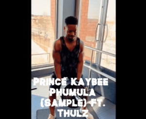 Prince Kaybee – Phumula (Sample) Ft. Thulz