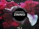 Raphael Ngove & UniCraft, Nozipho – Ziningi (Original Mix)