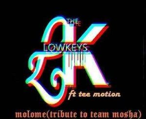 The Lowkeys Ft. Tee Motion – Malome (Tribute to Team Mosha)