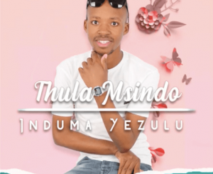 ThulaMsindo – Umcimbi wengane (Original Mix)