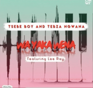 Tsebe Boy & Tebza Ngwana – Wa Yaka Wena