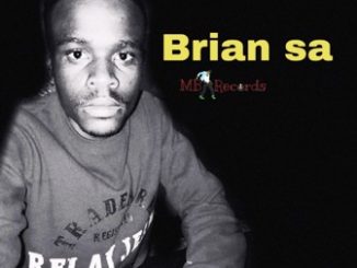 BRIAN SA – Crazy Dream (Original Mix)​