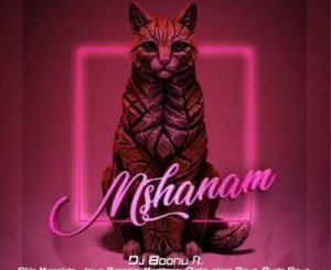 DJ Boonu – Mshanam Ft. Distruction Boyz, Madanon, Rude Boyz, Stilo Magolide & Jaiva Zimnike
