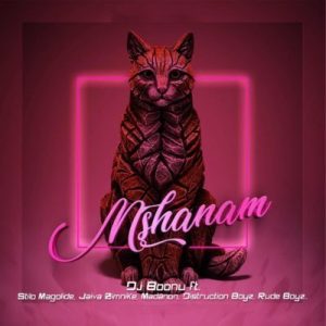 DJ Boonu – Mshanam Ft. Distruction Boyz, Madanon, Rude Boyz, Stilo Magolide & Jaiva Zimnike