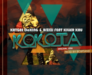 Kaygee & Bizizi – Kokota Piano (Dj TeeSoul Revisit)
