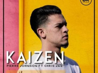 Pierre Johnson & Chris Jay – Kaizen (Buddynice Vocal Mix)