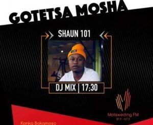 Shaun101 – Musical Invasion (Motsweding FM Mix)