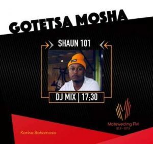 Shaun101 – Musical Invasion (Motsweding FM Mix)