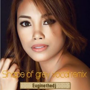 Euginethedj – Shades of Grey (Vocal Remix)