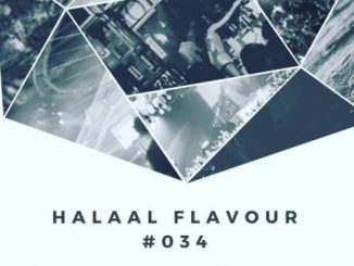Halaal Flavour #034 Mixed & Compiled by Entity MusiQ & Lil’Mo