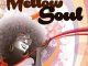 Mellow Soul – Fela Fela