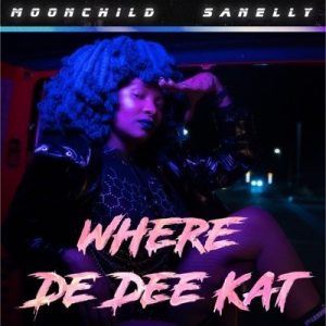 Moonchild Sanelly – Where De Dee Kat