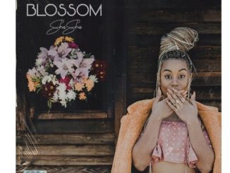 Sha Sha – Blossom (Tracklist)