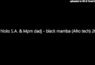 Sir hloks S.A. & Mpm Dadj – Black Mamba