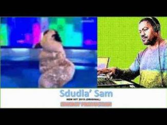 Siwi Boy – Sdludla Sam (Original)