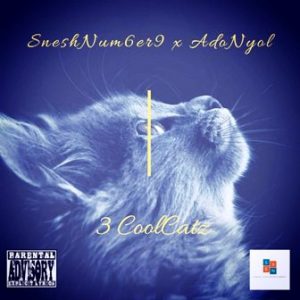 SneshNum6er9 & Adonyol – 3 CoolCatz