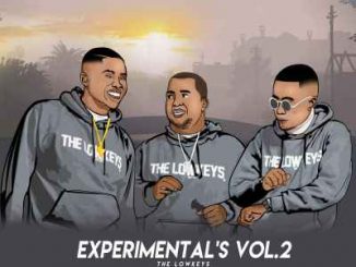 The Lowkeys 012 – Experimentals Vol.2
