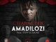 Character – Amadilozi Ft. Stiff & Zakwe