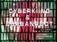 Cyberking & Durban Roots – Ubuntu