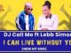 DJ Call Me – I Can Live Without You Ft. Lebb Simons