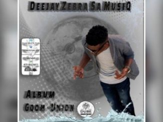 Deejay Zebra SA MusiQ – Welukhunjana Ft. Boi Tee