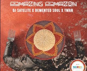 Demented Soul & Tman, DJ Satelite – Amazing Amazon (Original Mix)