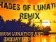 Drum Lunitics And Deejay Leo – Shades Of Lunitics Remix( drumology)