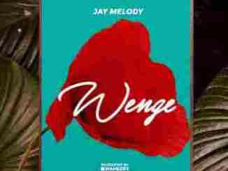 JAY Melody – Wenge