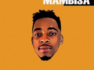 Thee Legacy & Dj Maphorisa – Thando Ft. Mlindo The Vocalist (Mas Musiq Remix)