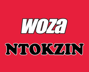 Ntokzin – Woza