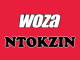 Ntokzin – Woza