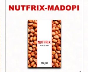 Nutfrix – Madopi (Original Mix)