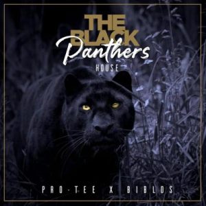 Pro-Tee & Biblos – Black Panther House