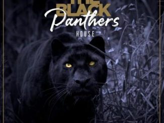 Pro-Tee & Biblos – Black Panther House