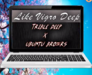 Treble Deep & Ubuntu Brothers – Like Vigro Deep