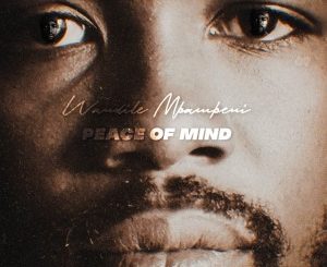 Wandile Mbambeni – Peace of Mind