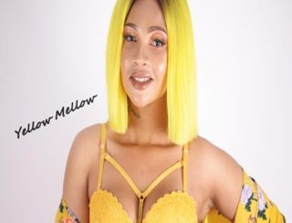 Yellow Mellow – Ama-menemene