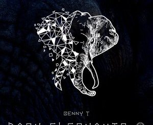 Benny T – Dark Elephants (Original Mix)