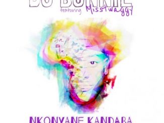 DJ Bonnie, Misstwaggy – Nkonyane Kandaba (Original Mix)