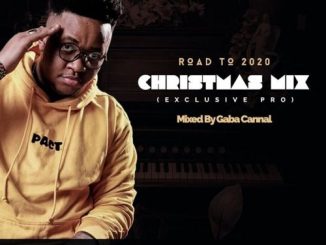 Gaba Cannal – Road To 2020 Christmas Mix