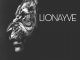 Lionayve – Lion-s Composition
