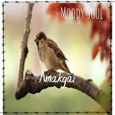 Moody Soul – Amakgai (Amapiano Edit)